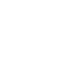 scale